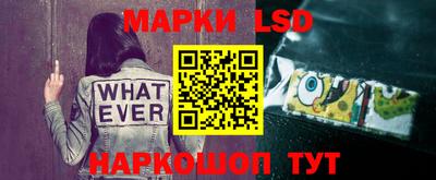 шишки Краснознаменск
