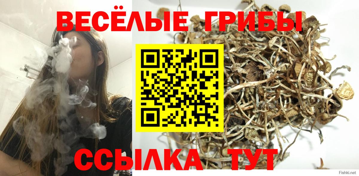 Галлюциногенные грибы MAGIC MUSHROOMS Коломна