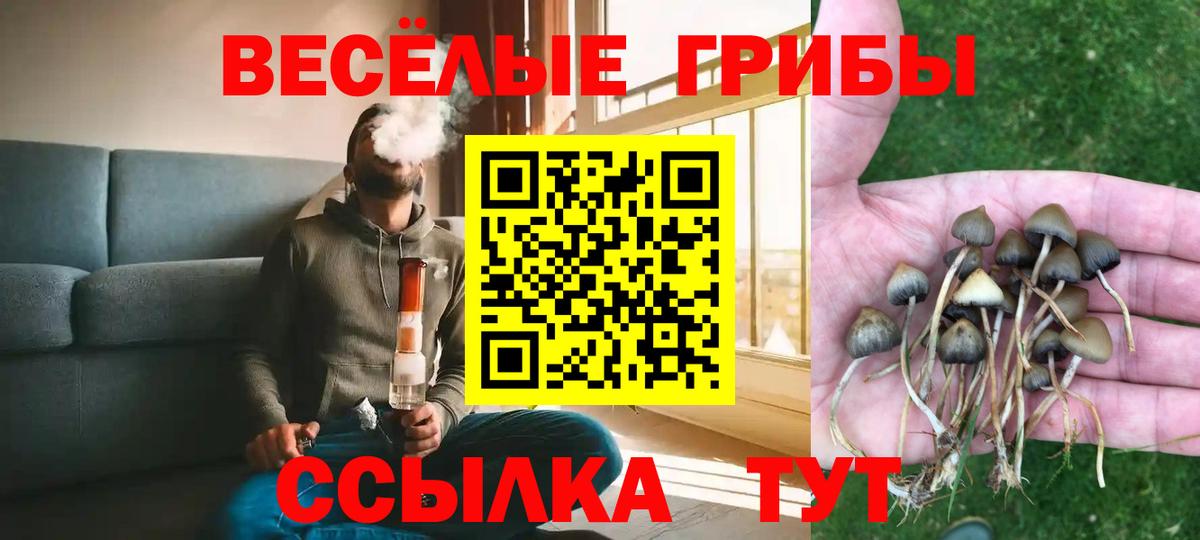 Коломна  Псилоцибиновые грибы мицелий  Псилоцибиновые грибы GOLDEN TEACHER  Вход с VPN 